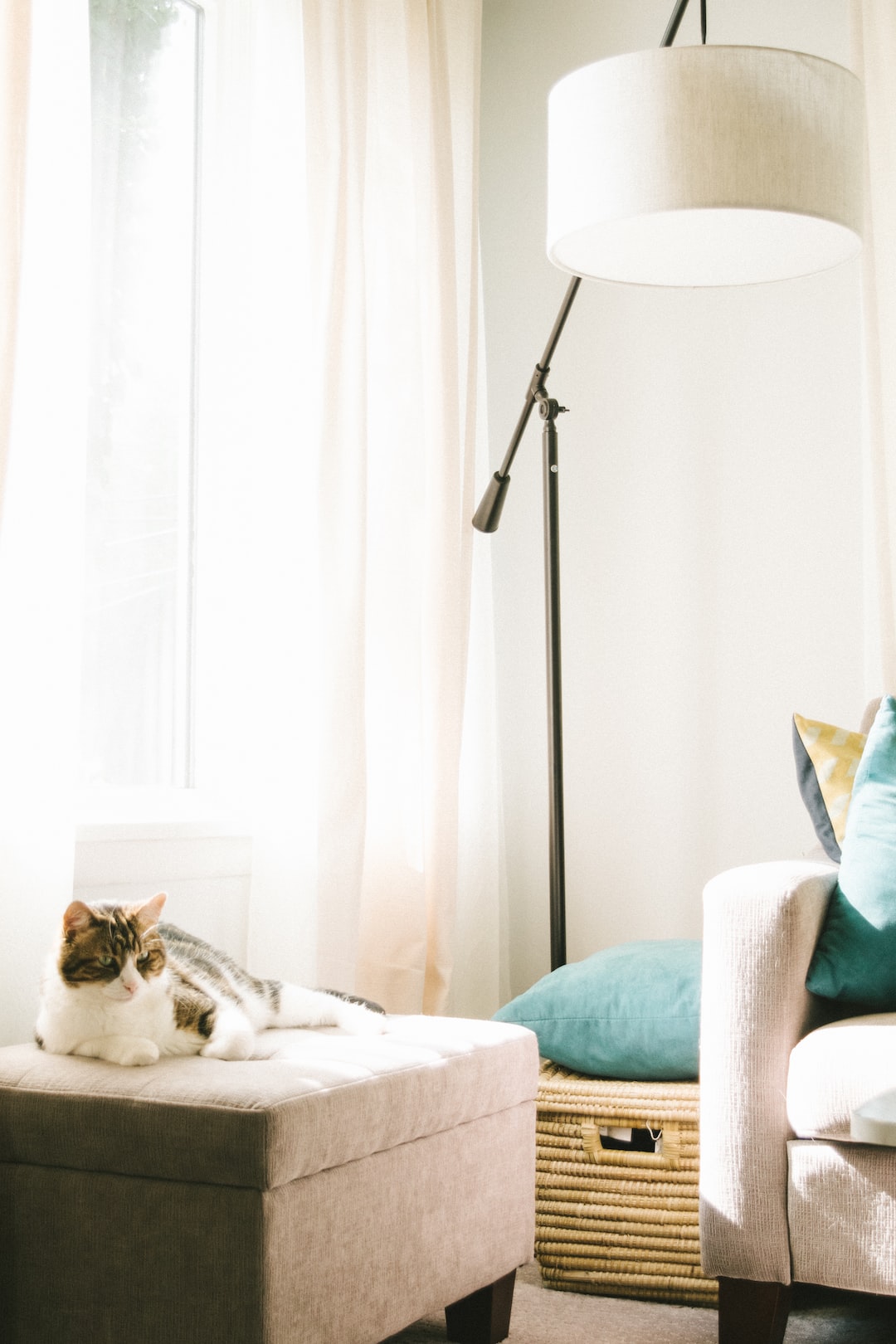 can I make my house look expensive decor? Home Decorations